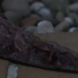 Alien - Chat with Tentacle Alien - Sextingme AI 