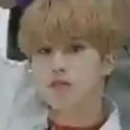 Idol - Chat with StrayKids  - Sextingme AI 